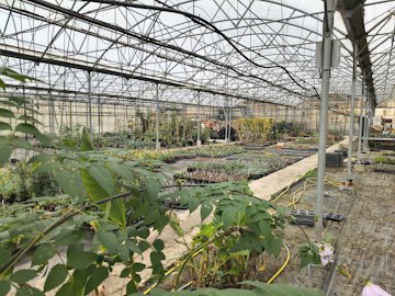 05-immense serre.jpg